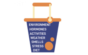 The Histamine Bucket Theory