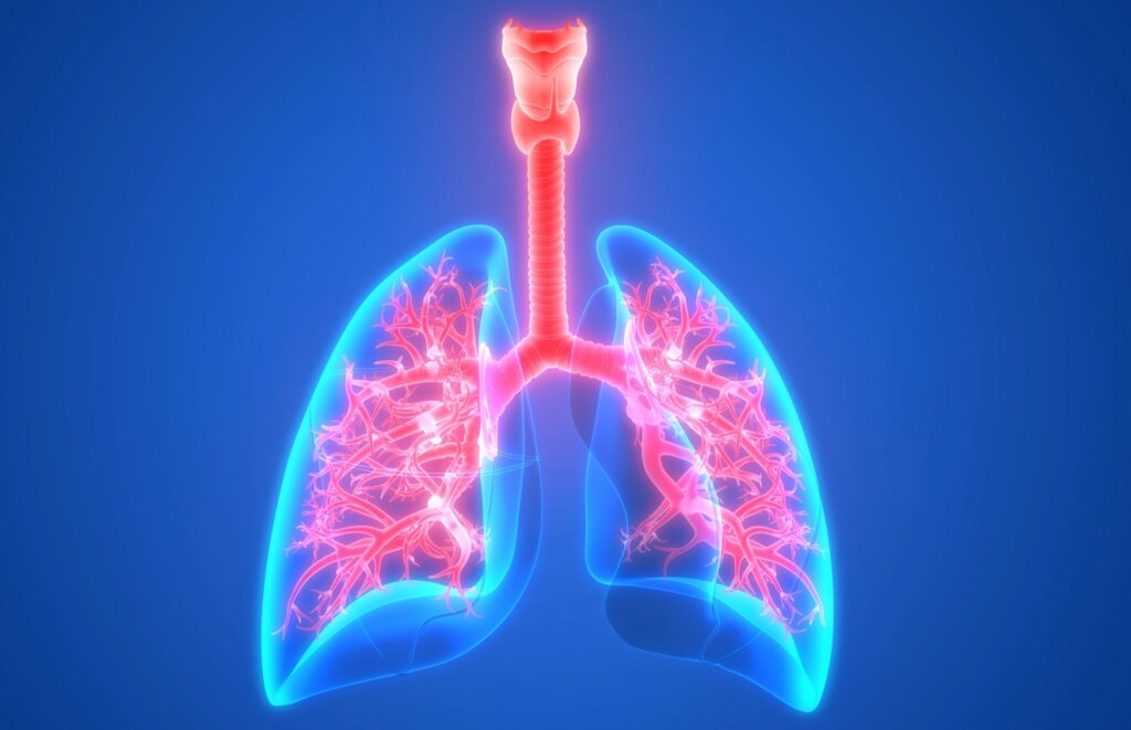 MCAS Lung coughing and congestion
